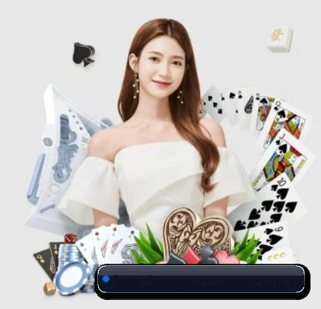 半岛体育入口 APP